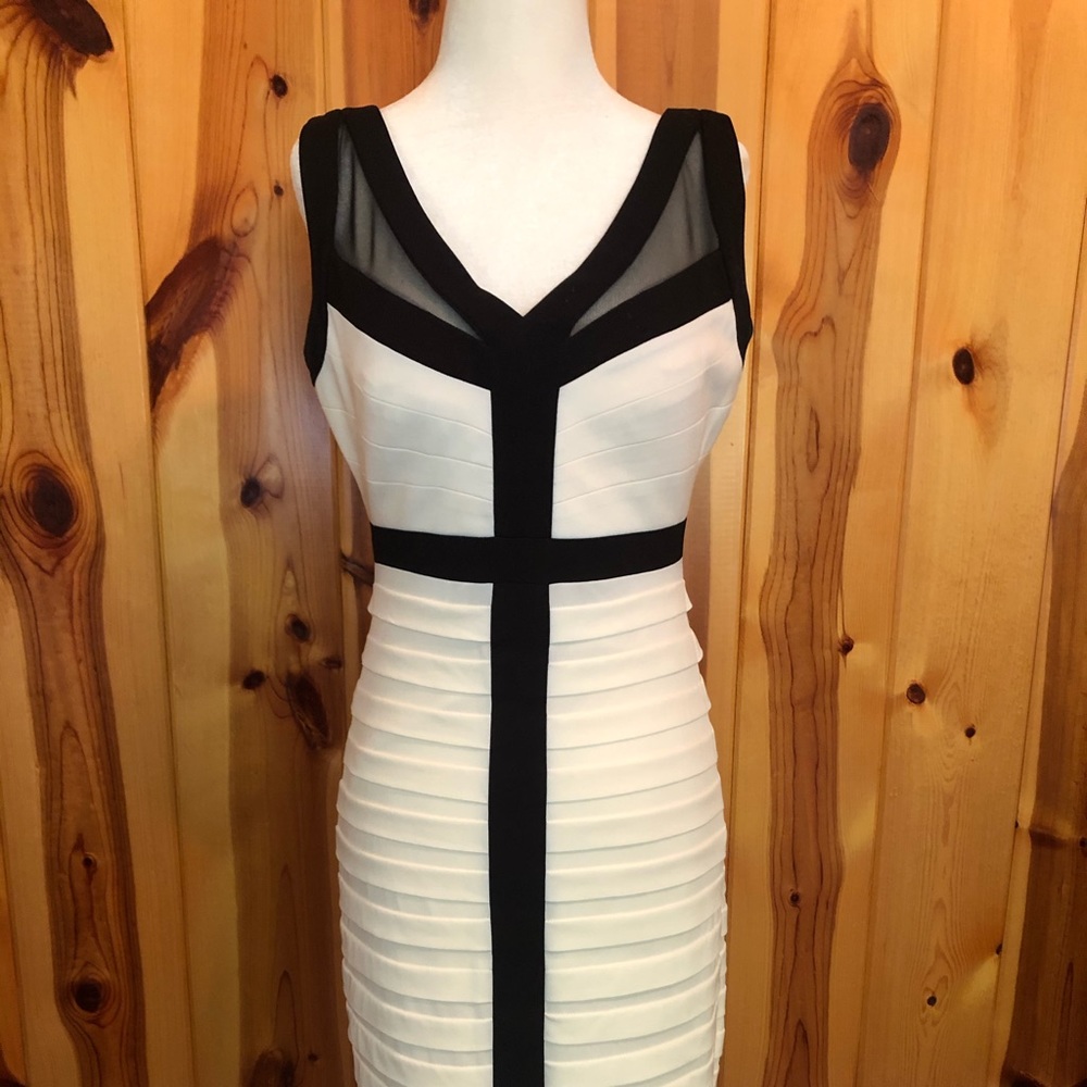 🌟3/$30🌟 “Jax” bodycon dress from Saks 5th Ave.